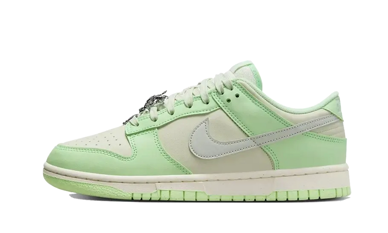 Nike Wmns Dunk Low Next Nature Sea Glass-Nike-pikastore.cz