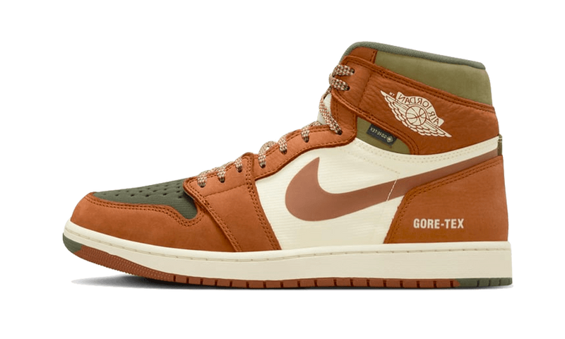 Nike Air Jordan 1 High Element GORE-TEX Legend Coffee-Air Jordan-pikastore.cz