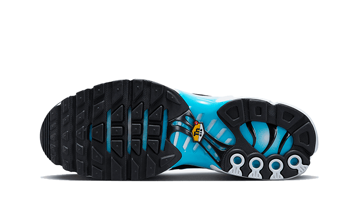 Nike Air Max Plus Baltic Blue (GS)-sneakers-Nike-pikastore.cz