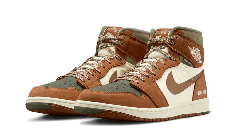 Nike Air Jordan 1 High Element GORE-TEX Legend Coffee-Air Jordan-pikastore.cz