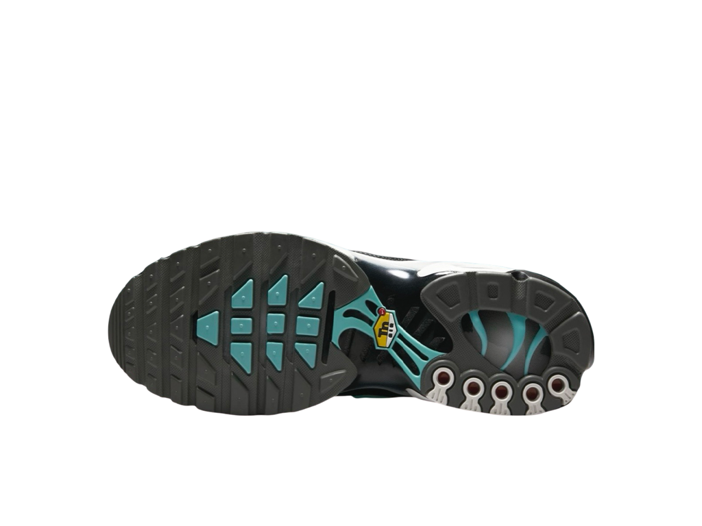 Air Max Plus Mercurial Vapor-Nike-pikastore.cz