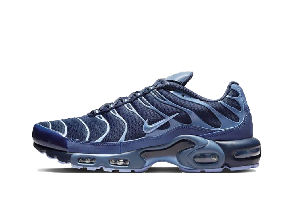 Nike Air Max Plus Obsidian Aluminum-Nike-pikastore.cz