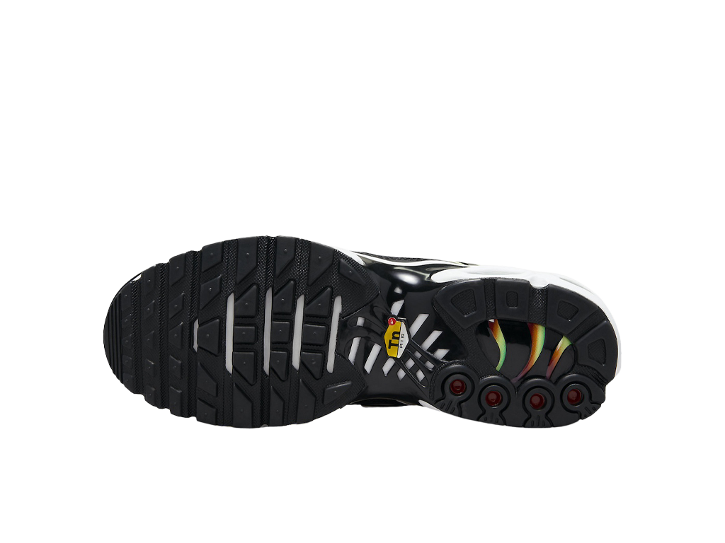 Nike Wmns Air Max Plus Rainbow-Nike-pikastore.cz