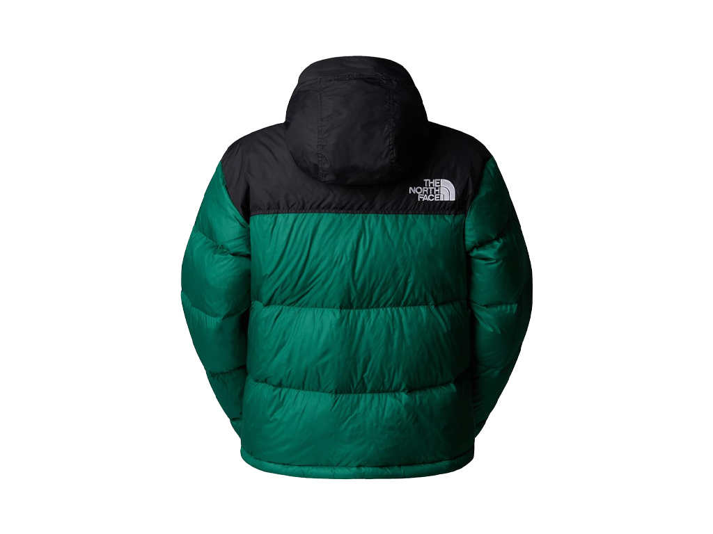 The North Face Womens 1996 Retro Nuptse Jacket Evergreen-The North Face-pikastore.cz