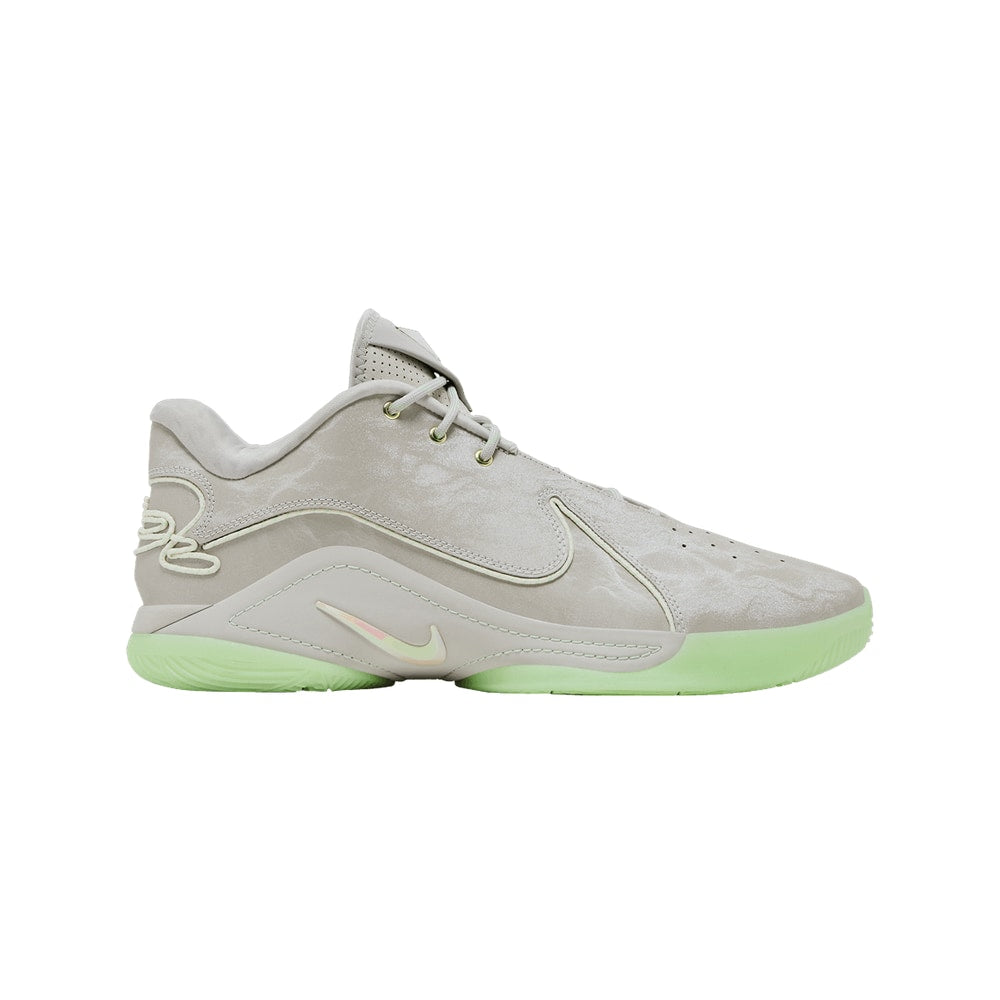 Nike LeBron 22 Dunkman – sko, hvid