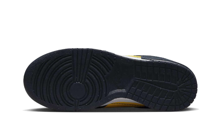 Nike Dunk Low Disrupt 2 Michigan (Women's)-sneakers-Nike-pikastore.cz