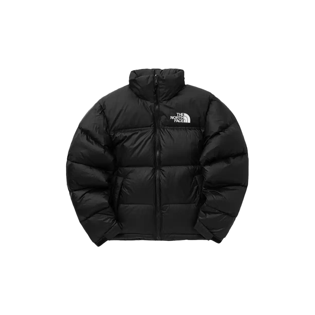The North Face 1996 Retro Nuptse Jacket Recycled Black-The North Face-pikastore.cz