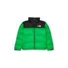 The North Face 1996 Retro Nuptse Jacket Emerald Green-The North Face-pikastore.cz