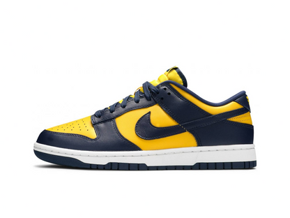 Nike Dunk Low Disrupt 2 Michigan (ženske)