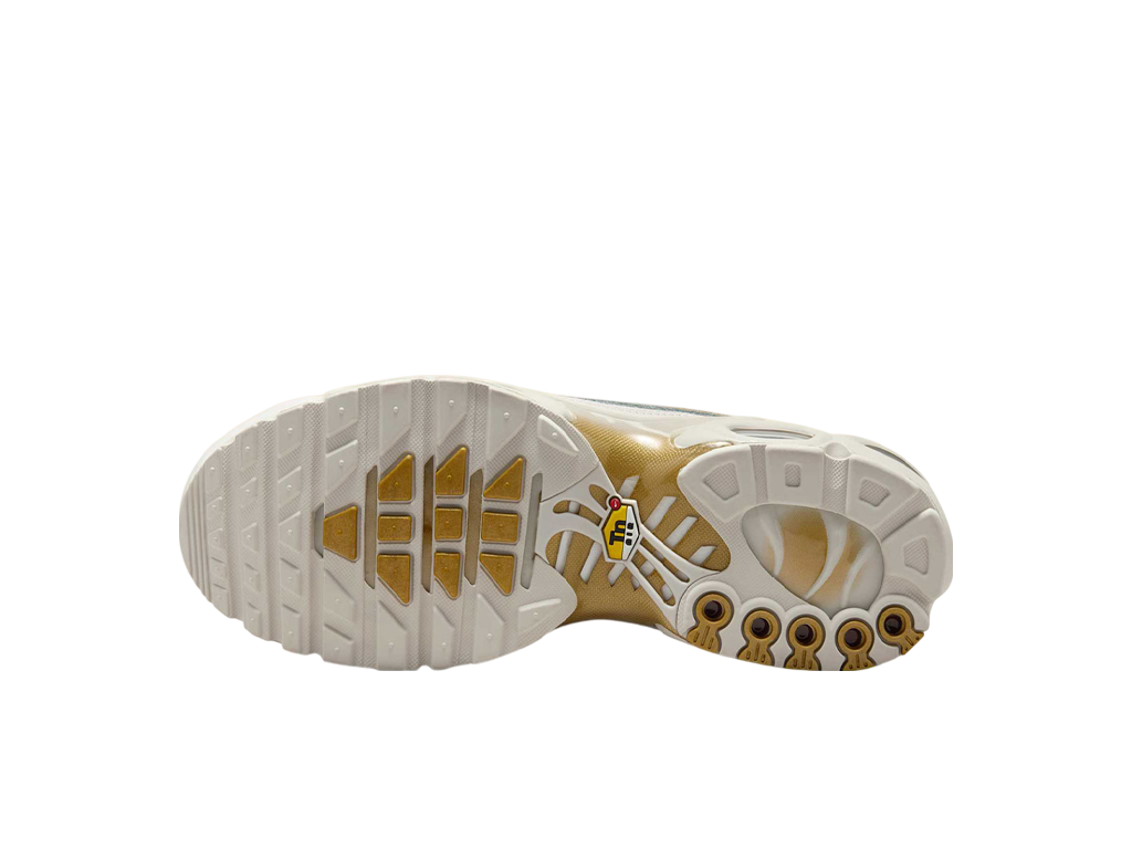 Air Max Plus Tiempo Phantom Metallic Gold-Nike-pikastore.cz