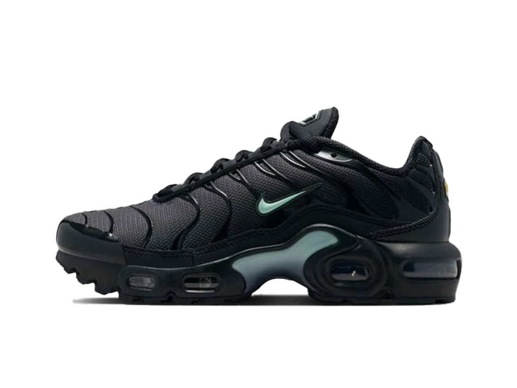 Nike Air Max Plus Black Mint Foam-Nike-pikastore.cz