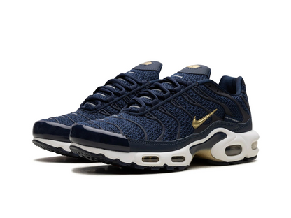 Nike Air Max Plus French Football Federation