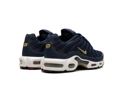 Nike Air Max Plus French Football Federation