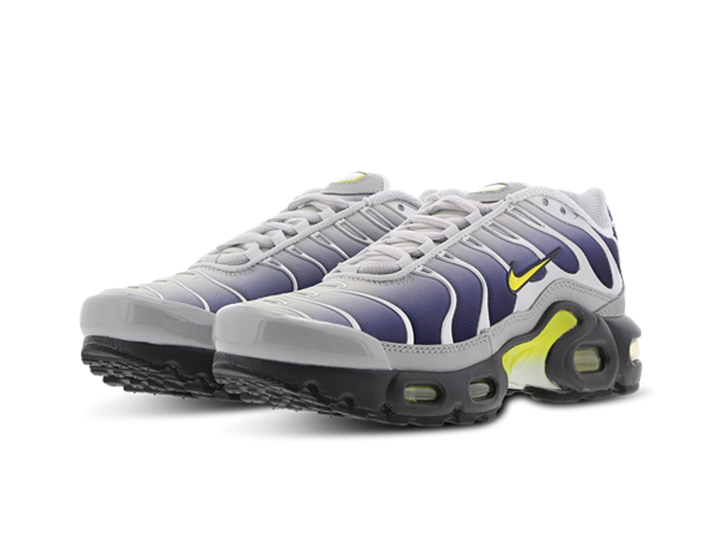 Nike Air Max Plus GS Obsidian Silver