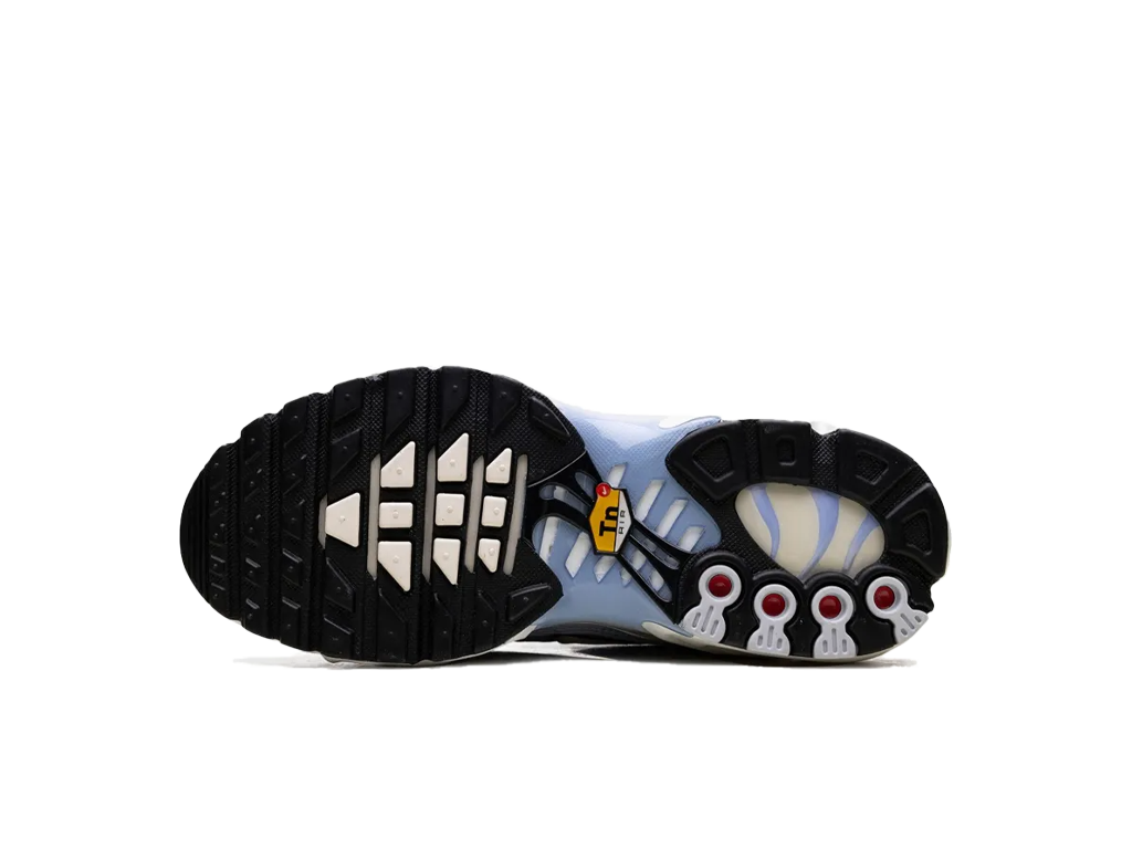 Nike Wmns Air Max Plus Daybreak-Nike-pikastore.cz