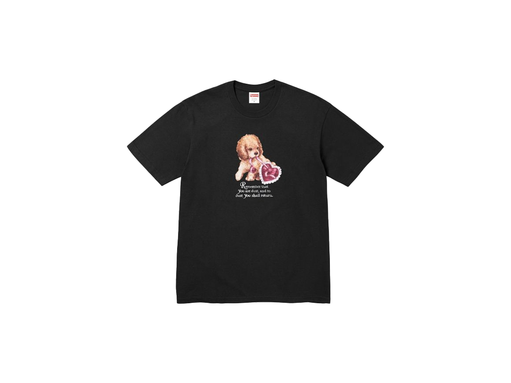 Supreme Dust Tee Black-Supreme-pikastore.cz