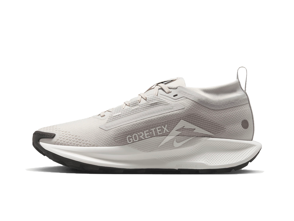 Nike ReactX Pegasus 5 GTX Vast Grey