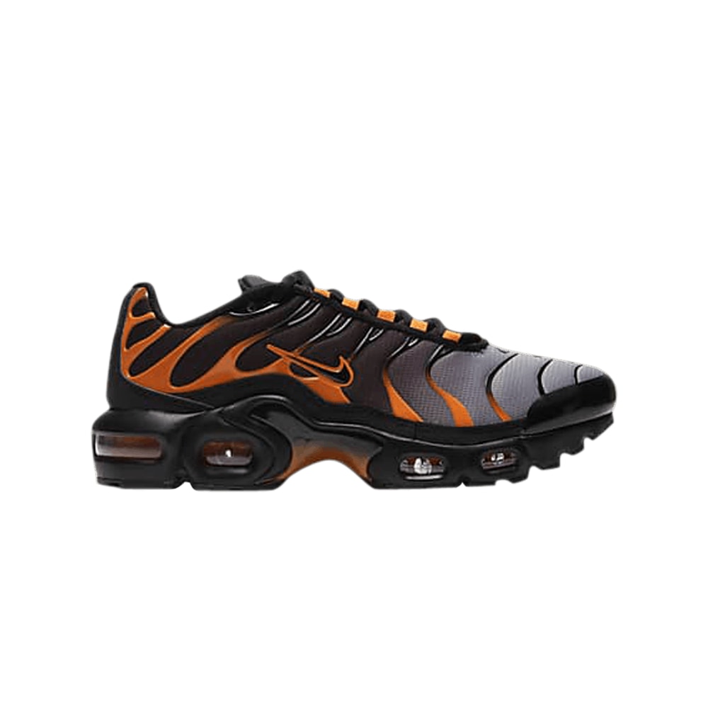 Nike Air Max Plus GS Black Team Orange – tenisky, hnědá